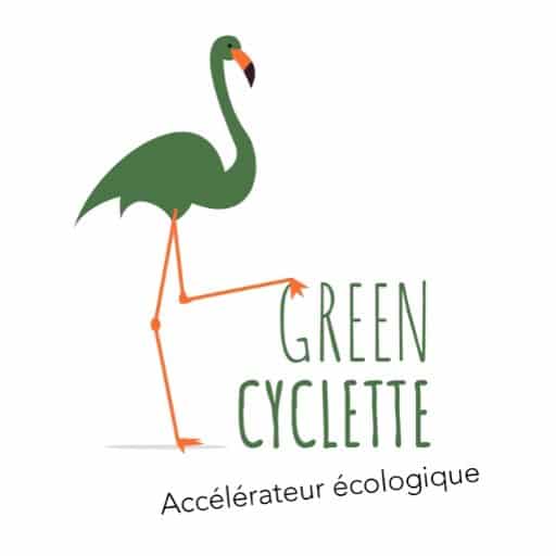 cropped Atelier coaching ecologique Green Cyclette Rennes