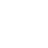 Systemik Impact